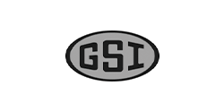 GSI